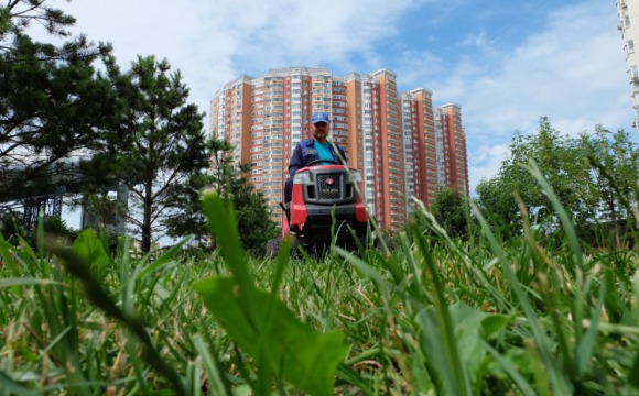 Коммунальные службы Красногорска продолжают покос травы и уборку улиц