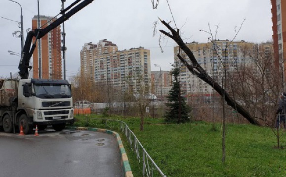 Работы по экологической реабилитации реки Банька в Красногорске выполнены на 70%