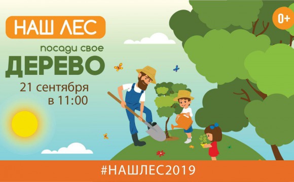 Акция «Наш лес. Посади свое дерево» пройдет в Красногорске 21 сентября