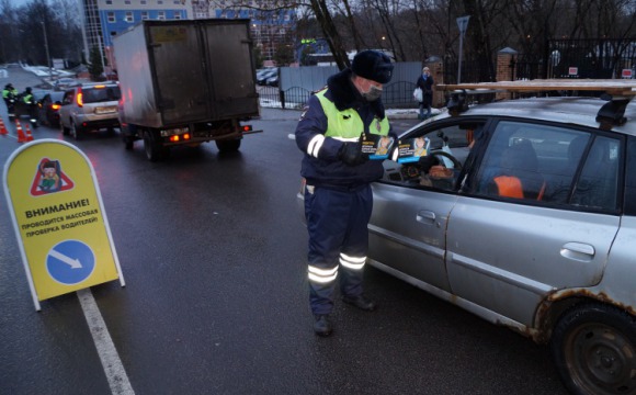 Красногорским автомобилистам напомнили: маленький пассажир - большая ответственность