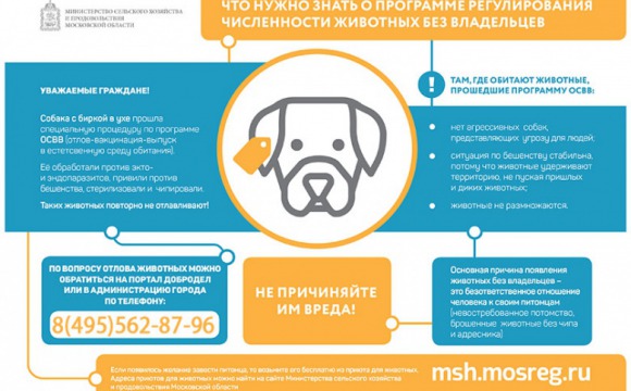 Жителям Красногорска напоминают: собаки с биркой в ухе не опасны