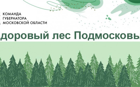 На портале «Добродел» стартовало голосование «Здоровый лес Подмосковья»