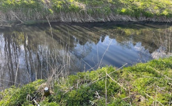 Минэкологии установило границы водоохранных зон и прибрежных полос рек Чисмены и Сходни