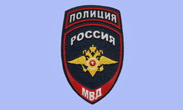 В Красногорске полицейскими задержан подозреваемый в краже из квартиры