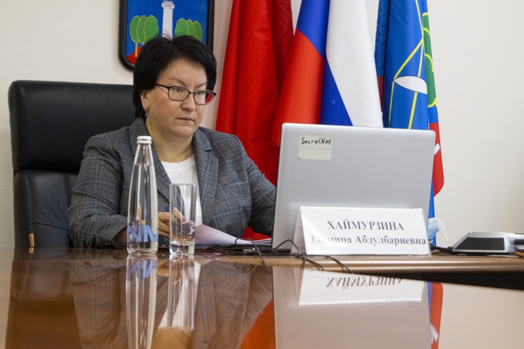 Глава Красногорска приняла участие в международной онлайн-конференции