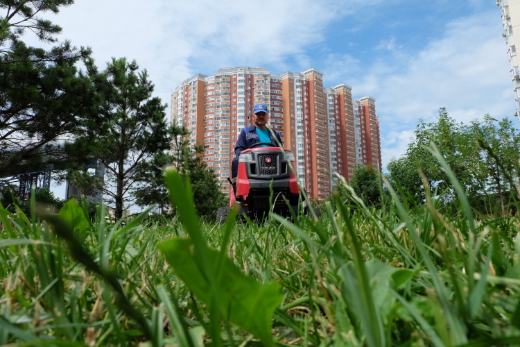 Коммунальные службы Красногорска продолжают покос травы и уборку улиц