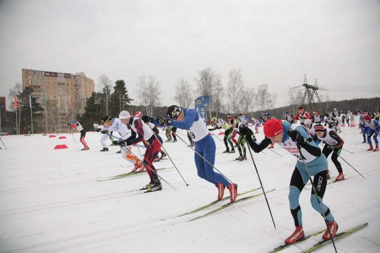 «Кубок Восточной Европы FIS» по лыжным гонкам состоится в Красногорске 23 февраля