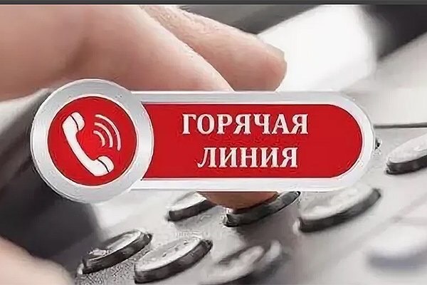 Красногорские предприниматели могут задать вопросы по телефону «горячей линии»