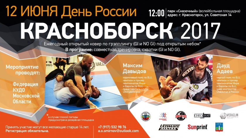 Открытый турнир «КрасноБорск 2017» пройдет в День России