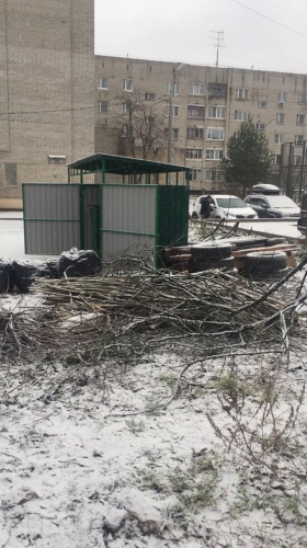 Профилактический рейд по несанкционированным навалам мусора прошел в Красногорске