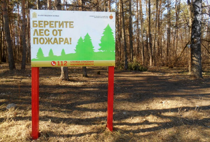 В Московской области снизилось количество природных пожаров