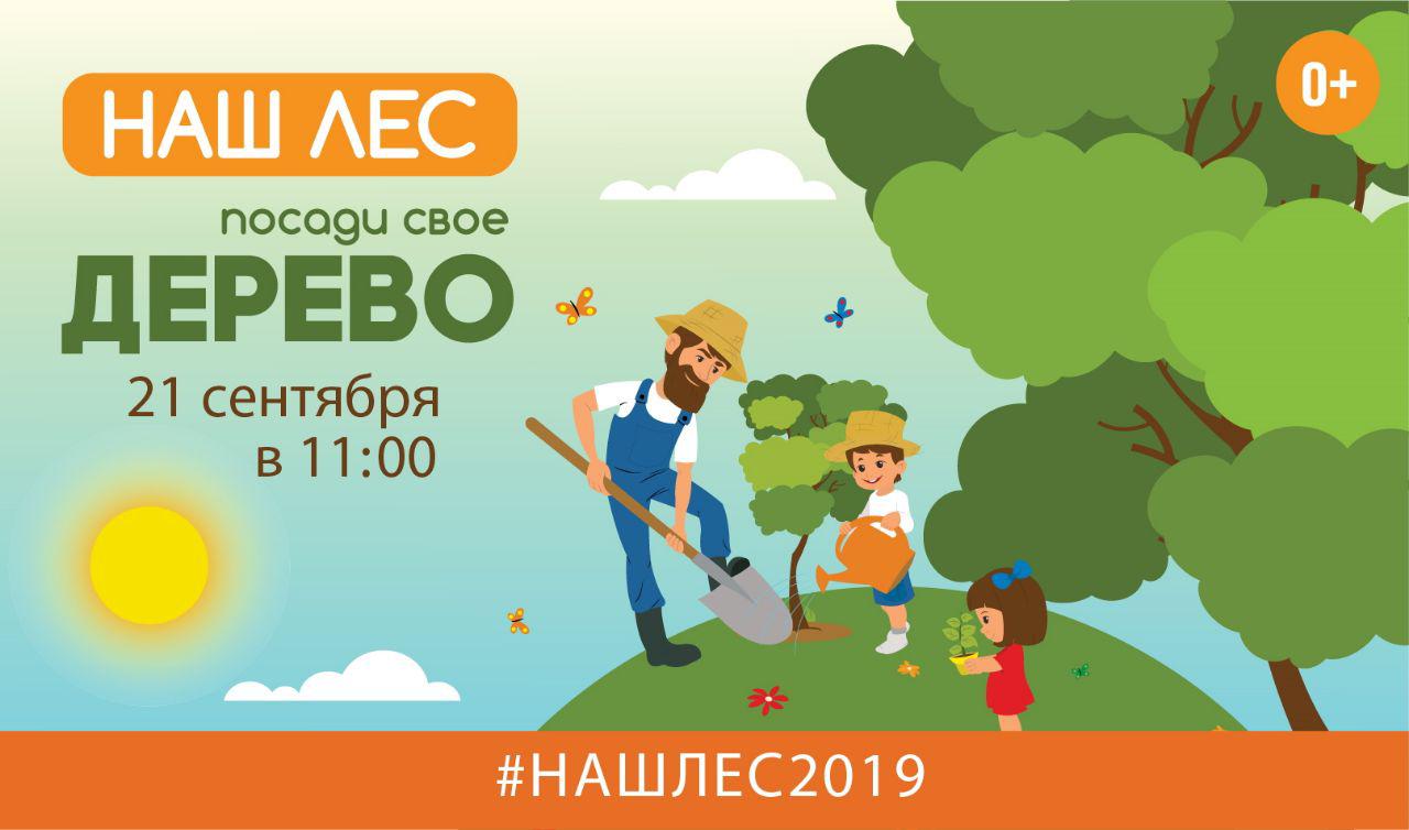 Акция «Наш лес. Посади свое дерево» пройдет в Красногорске 21 сентября