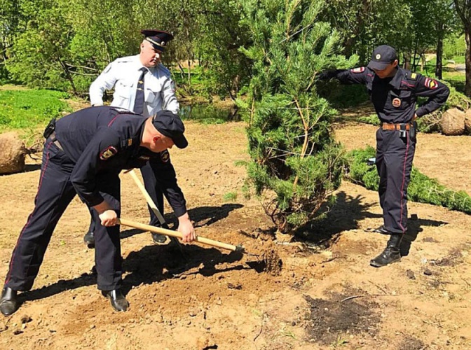 В Красногорске сотрудники полиции приняли участие в акции «Лес Победы»