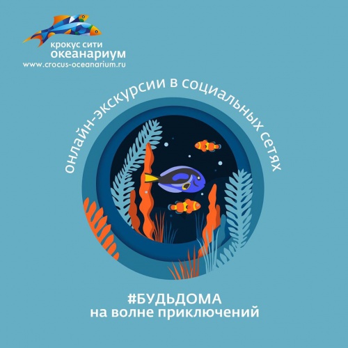 Красногорский океанариум зовет на волну приключений
