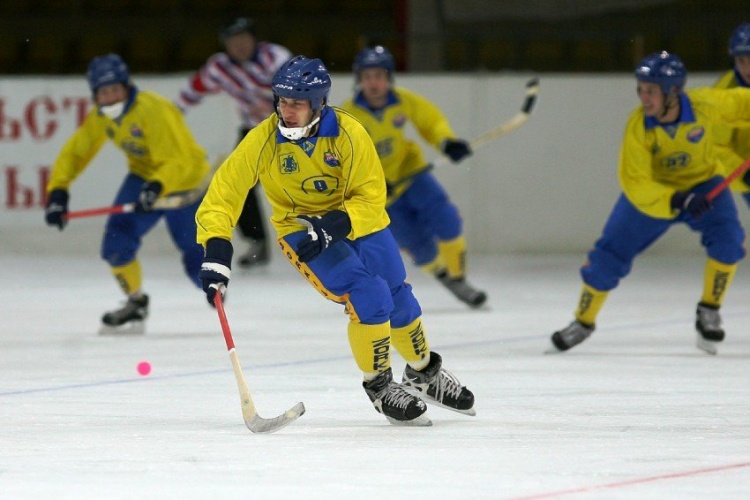 «Зоркий» вновь будет выступать в Суперлиге по хоккею с мячом