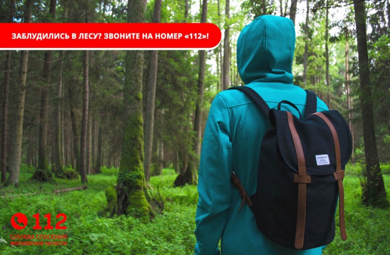 Система-112 Московской области способствует оперативному поиску заблудившимся в лесу