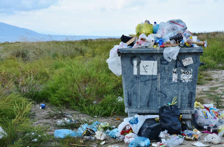 Собственники частных домовладений обязаны заключать договоры на вывоз мусора