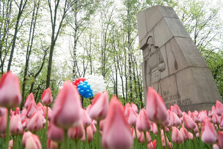 Мемориалы и памятники приведут в порядок к 9 мая в Красногорске