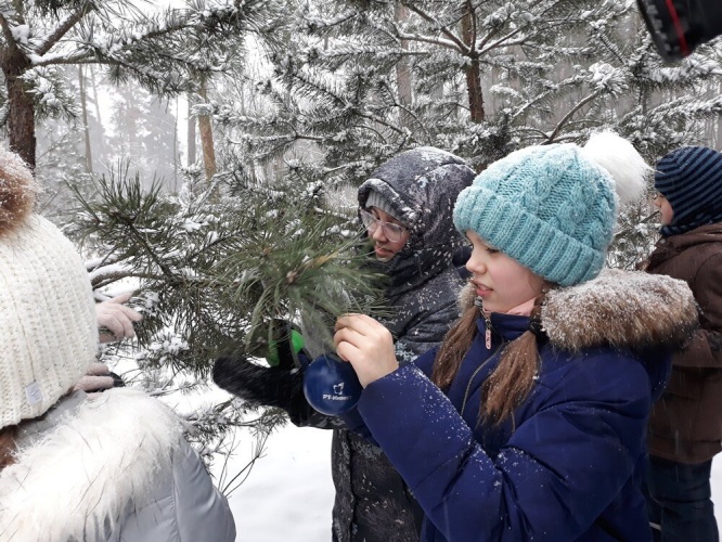 В экопарке «Губайловский» живые елки украсили шарами из вторсырья