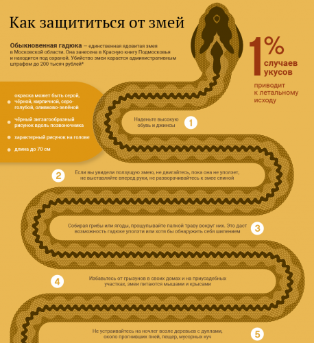 Как защититься от змей
