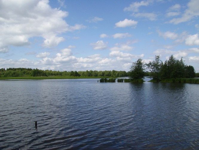Разрешенные места для купания благоустроены в Красногорске
