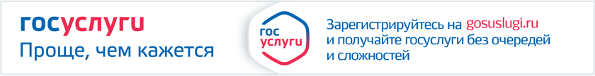 Государственные услуги для индивидуальных предпринимателей