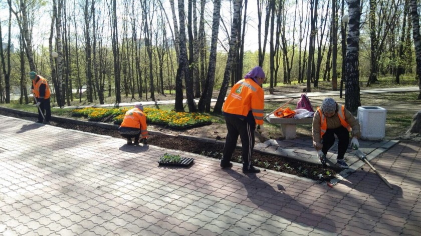 Более пятидесяти тысяч цветов украсят клумбы Красногорска