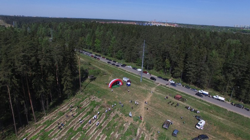 Более 4900 красногорцев приняли участие в акции «Лес Победы»