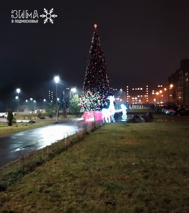 В Красногорске продолжается эстафета зажжения новогодних елей