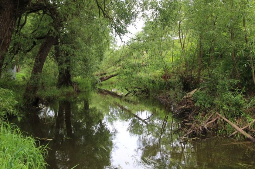 Экологи анализируют состояние водных объектов в Нахабино