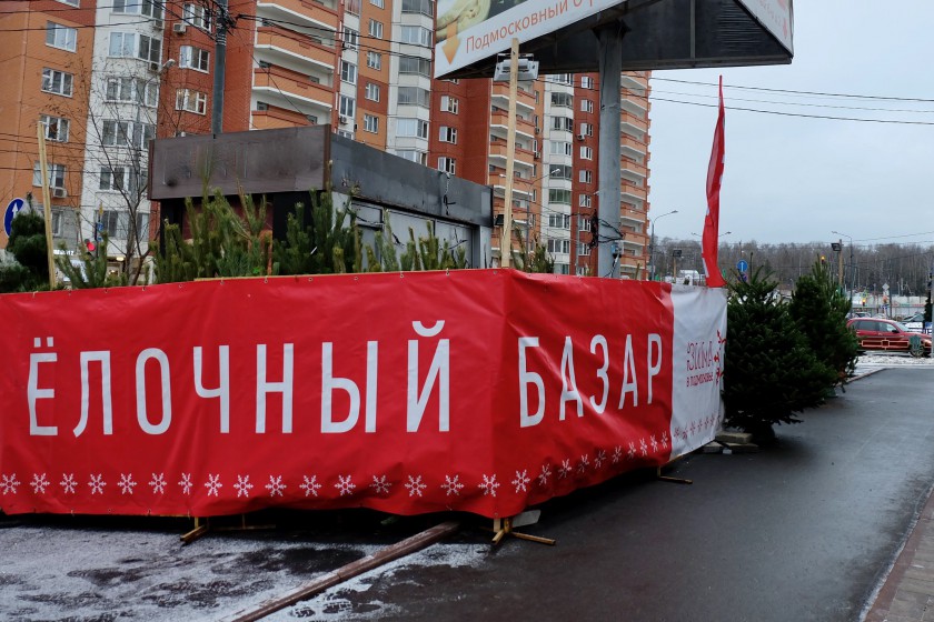 Более 20 елочных базаров открылись в Красногорске