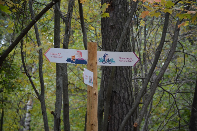Четыре сотни деревьев высадят в честь открытия ЭкоПарка «Губайловский»