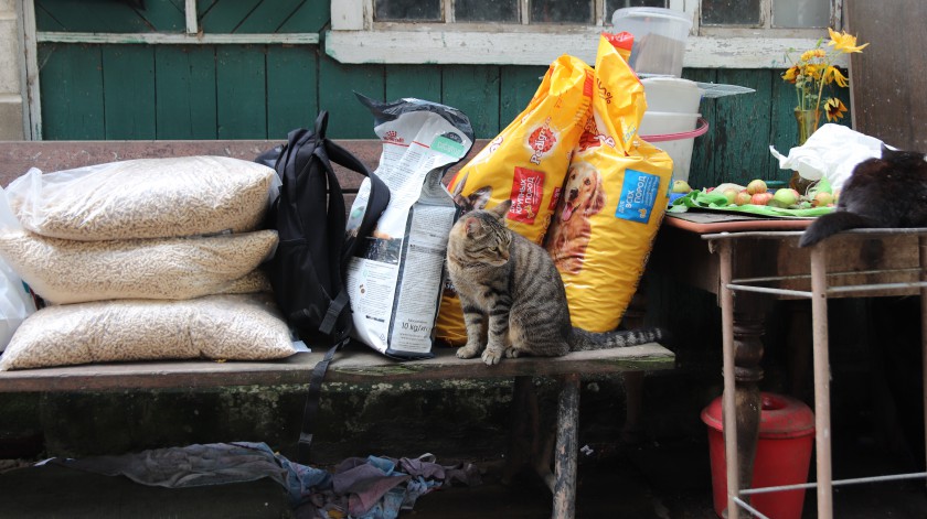 30 килограммов корма передали красногорские волонтеры в частный приют для животных