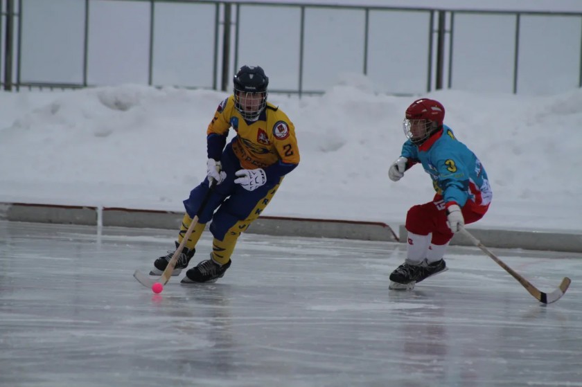 IV ежегодный турнир по мини-хоккею с мячом прошёл на стадионе «Зоркий»