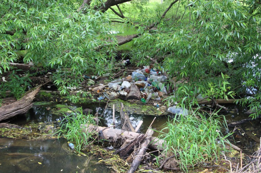 Экологи анализируют состояние водных объектов в Нахабино