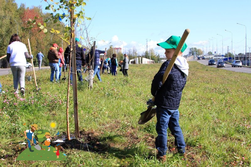 Сразу на трех площадках в Нахабино прошла областная акция «Наш лес. Посади свое дерево»