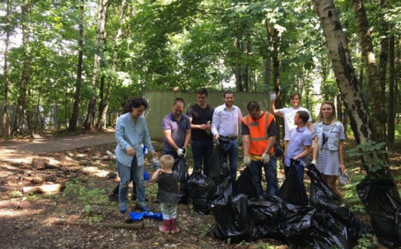 Акция по уборке лесной территории  «Зеленый день» пройдет в Красногорске