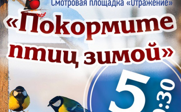 В Красногорске пройдет акция «Покорми птиц зимой»