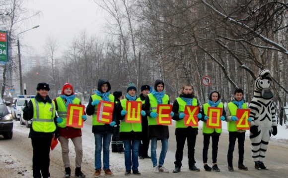 Итоги проведения опм «пешеход» на территории Красногорского района