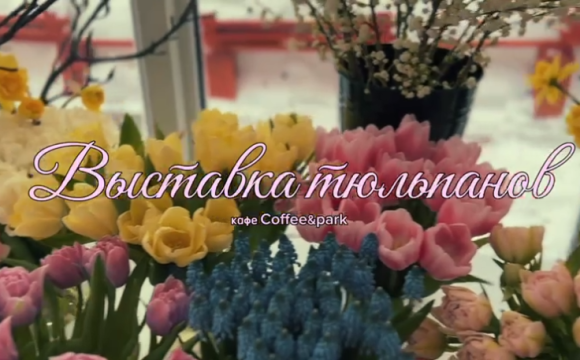 Красочная выставка тюльпанов в Городском парке Красногорска