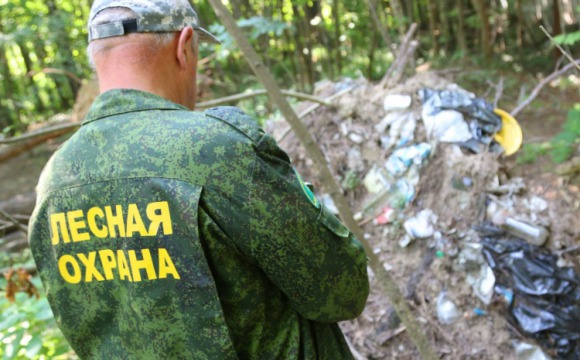 В красногорском лесопарке прошел экологический рейд