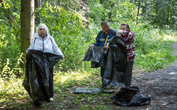 Губайловский лесопарк очистили от мусора