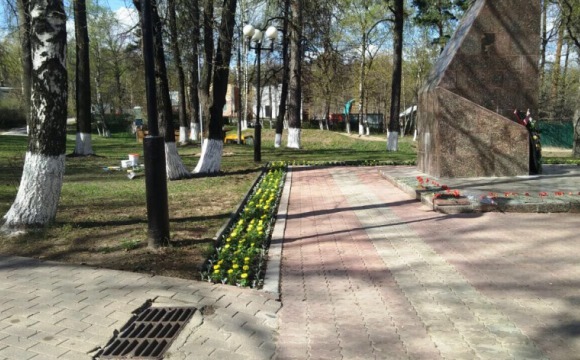 Более пятидесяти тысяч цветов украсят клумбы Красногорска