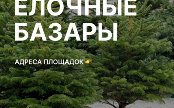 До Нового года 35 дней – пора задуматься о празднике 