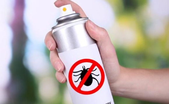 Средства от клещей – какими они бывают?