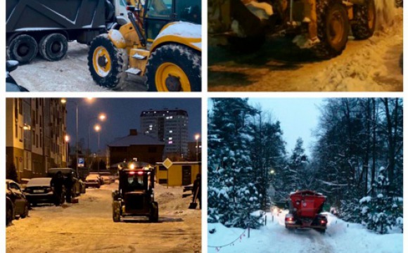 Почти 1200 дворников убирают снег в округе