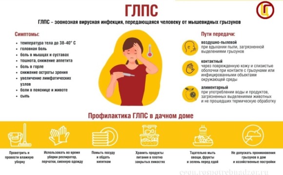 О профилактике геморрагической лихорадки с почечным синдромом (ГЛПС)