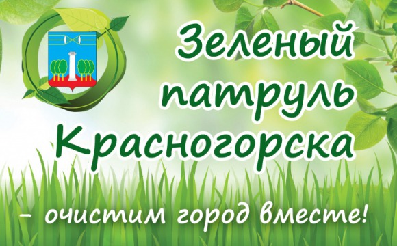 Движение «Зеленый патруль» проведет последний субботник в 2018 году