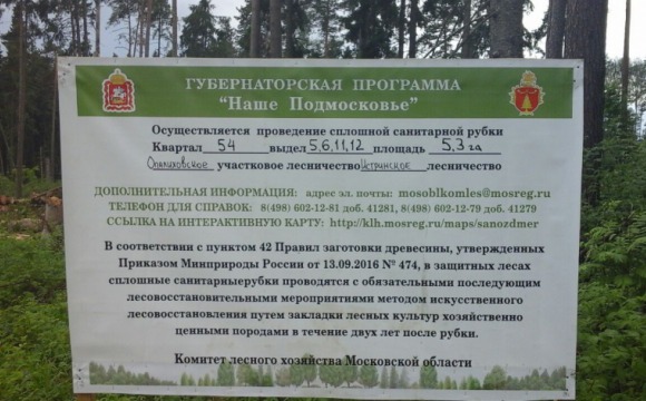 Санитарная рубка деревьев началась на территории Опалиховского леса