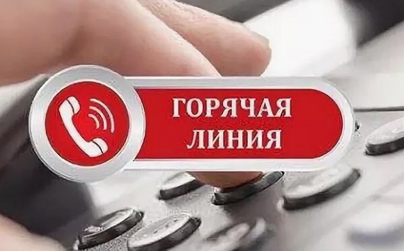 Красногорские предприниматели могут задать вопросы по телефону «горячей линии»